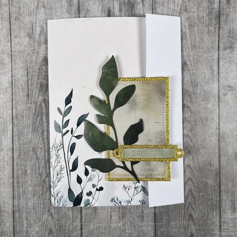 Cash Gift Congratulations Name - đánh giá và giá Baby Clothing Name